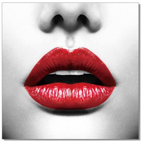 Oppidan Home "Red Lips" Acrylic Wall Art (40"H X 40"W)